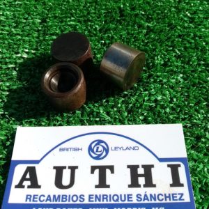 Casquillo interior bombin esclavo embrague mini