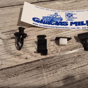 CLIP GRAPA VARIAS