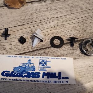 CLIP GRAPA BISEL MANECILLA VARIOS